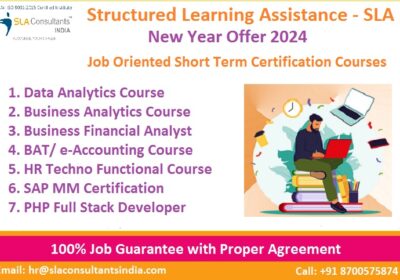 Top Data Analyst Course in Delhi with Job Assistance in Delhi [100% Job, Learn New Skill of ’24] by